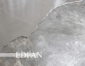 EDFAN Top Nivelación